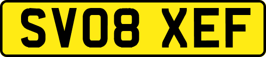 SV08XEF