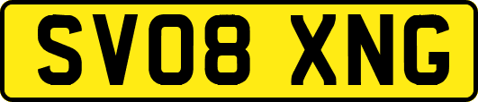 SV08XNG