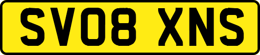 SV08XNS