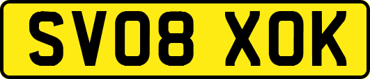 SV08XOK