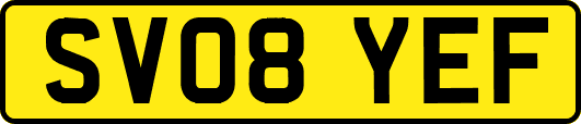 SV08YEF