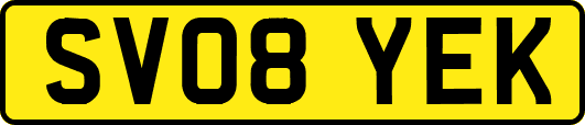SV08YEK