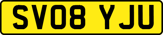 SV08YJU
