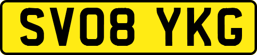 SV08YKG