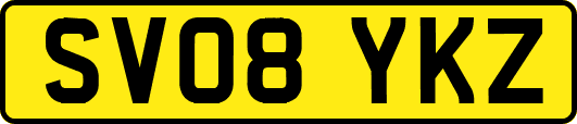 SV08YKZ