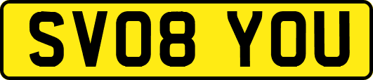 SV08YOU