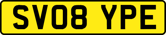 SV08YPE