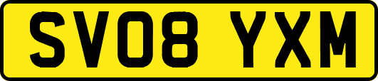 SV08YXM