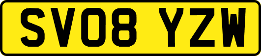 SV08YZW