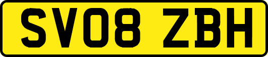 SV08ZBH