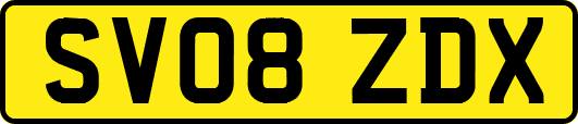 SV08ZDX