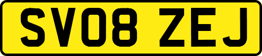 SV08ZEJ
