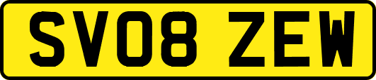 SV08ZEW