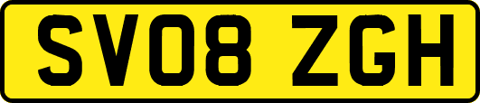 SV08ZGH