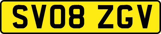 SV08ZGV