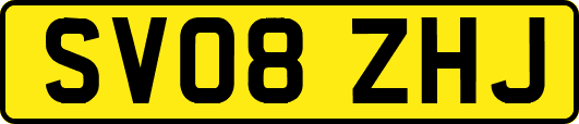 SV08ZHJ