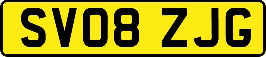 SV08ZJG