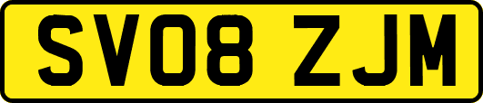 SV08ZJM