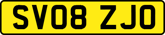 SV08ZJO