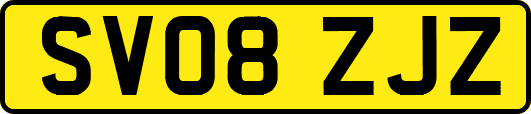 SV08ZJZ