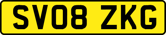 SV08ZKG