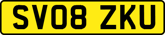 SV08ZKU