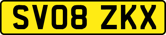 SV08ZKX