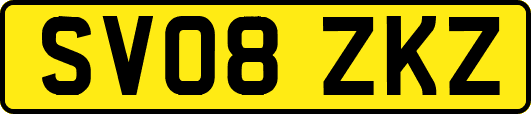 SV08ZKZ