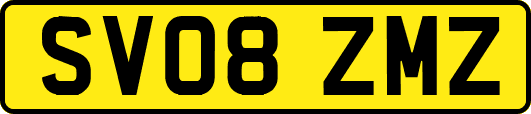 SV08ZMZ