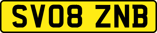 SV08ZNB