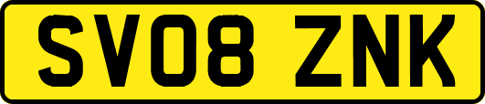 SV08ZNK