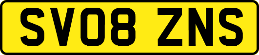 SV08ZNS