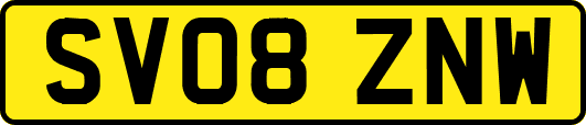 SV08ZNW