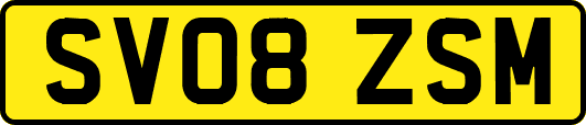 SV08ZSM