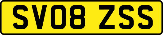 SV08ZSS