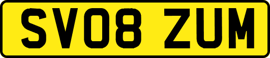 SV08ZUM
