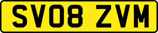 SV08ZVM