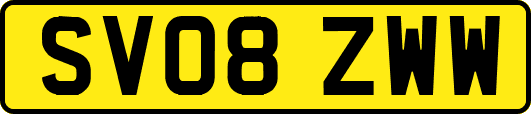 SV08ZWW