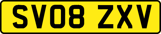 SV08ZXV