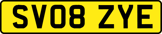 SV08ZYE