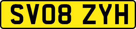 SV08ZYH
