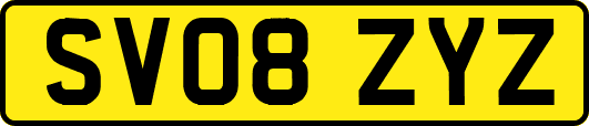 SV08ZYZ