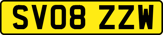 SV08ZZW
