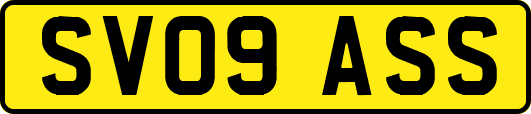 SV09ASS