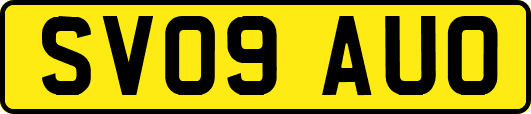 SV09AUO