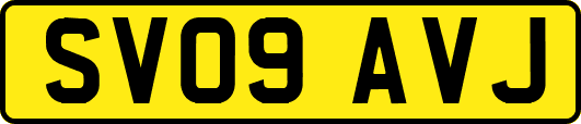 SV09AVJ