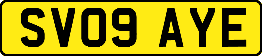 SV09AYE