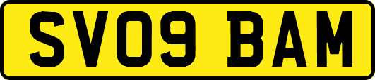 SV09BAM