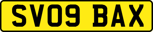 SV09BAX