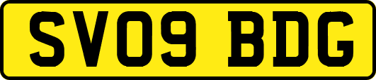SV09BDG